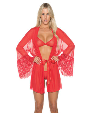 Sheer & Floral Lace Peignoir Set W/sheer Bra & G-string