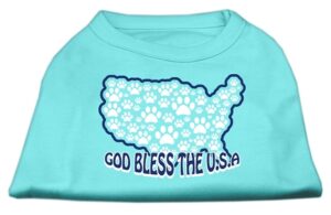 God Bless Usa Screen Print Shirts Aqua Xl