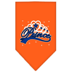 I'm A Prince Screen Print Bandana Orange Large