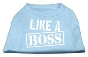 Like A Boss Screen Print Shirt Baby Blue Xl (16)