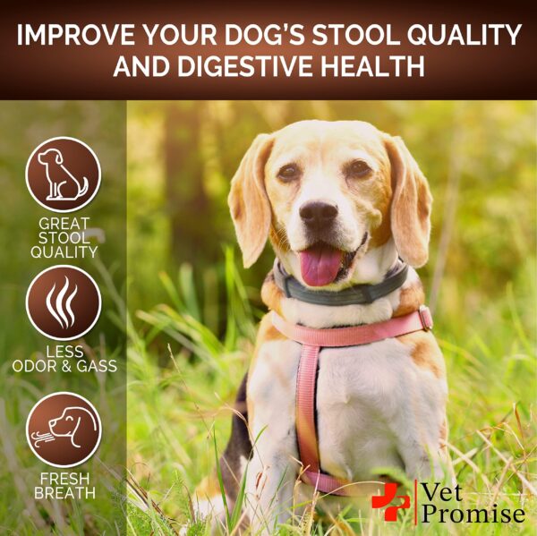 Great Poop Probiotics for Dogs   Dog Stool Softener   Fiber for Dogs Supplement   6 Probiotics and Digestive Enzymes   Healthy Gut   Firm Stool & Diarrhea Relief 120 Chews - Image 4