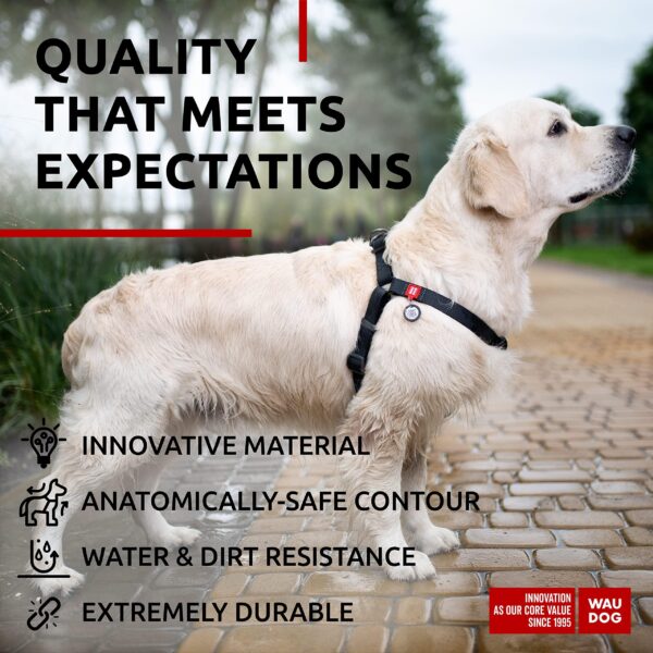 Waterproof Dog Harness   Adjustable Dog Harness for Large Dogs Small and Medium Dogs   Heavy Duty Dog Harness with Durable Metal Clasp and QR Dog Tag   Boy & Girl Dog Harness   Black (24 35in) - Image 4