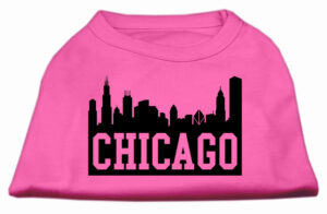 Chicago Skyline Screen Print Shirt Bright Pink Xl