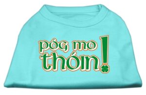 Pog Mo Thoin Screen Print Shirt Aqua Xxxl