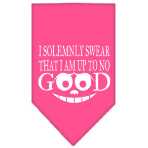 Up To No Good Screen Print Bandana Bright Pink Small