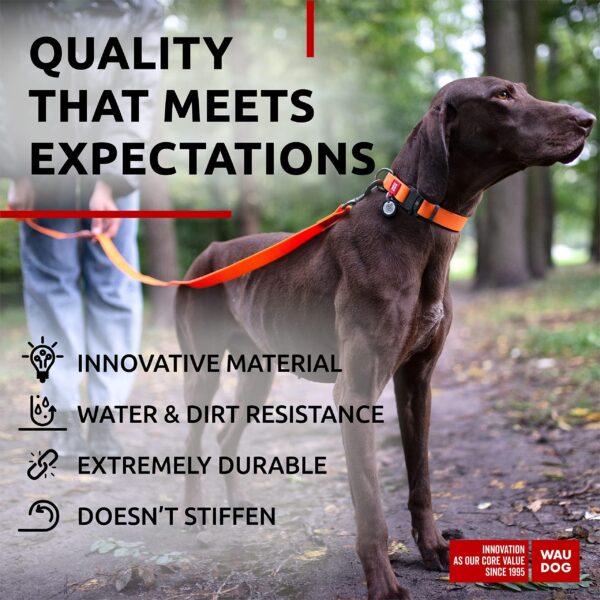 Waterproof Dog Collar   Adjustable Dog Collar for Large Dogs Small and Medium Dogs   Heavy Duty Dog Collars with Durable Metal Clasp and QR Dog Tag   Boy & Girl Dog Collars (Orange) - Image 3