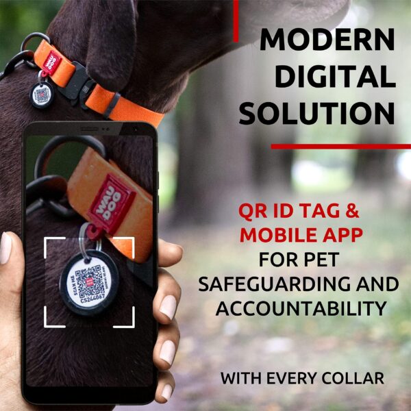 Waterproof Dog Collar   Adjustable Dog Collar for Large Dogs Small and Medium Dogs   Heavy Duty Dog Collars with Durable Metal Clasp and QR Dog Tag   Boy & Girl Dog Collars (Orange) - Image 5