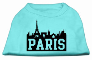 Paris Skyline Screen Print Shirt Aqua Xs