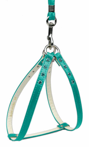 Step-in Harness Turquoise W/ Turq Stones 20