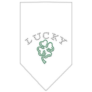 Four Leaf Clover Rhinestone Bandana White Small