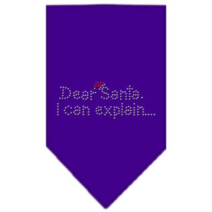 Dear Santa Rhinestone Bandana Purple Small
