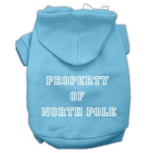 Property Of North Pole Screen Print Pet Hoodies Baby Blue Size M (12)