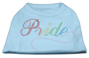 Rainbow Pride Rhinestone Shirts Baby Blue Xxl