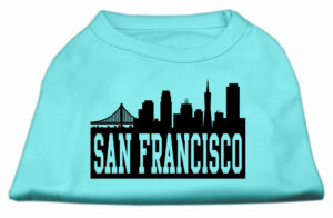 San Francisco Skyline Screen Print Shirt Aqua Xl