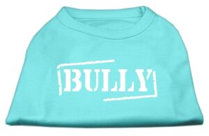 Bully Screen Printed Shirt  Aqua Xxxl