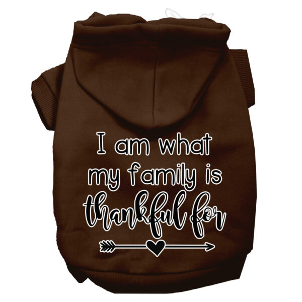 I Am What My Family Is Thankful For Screen Print Dog Hoodie Brown M