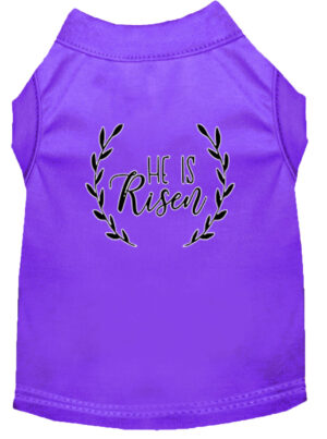 He Is Risen Screen Print Dog Shirt Purple Xl (16)