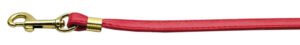 Flat Plain Leashes Red Gold Hardware