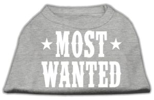 Most Wanted Screen Print Shirt Grey Sm (10)