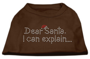 Dear Santa I Can Explain Rhinestone Shirts Brown Xxl (18)