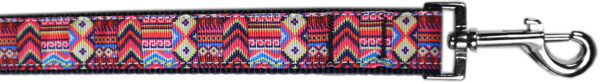 Southwestern Wonder Nylon Pet Leash 3/8in By 6ft