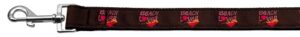 Beach Lover Nylon Dog Leash 3/8 Inch Wide 6ft Long