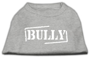 Bully Screen Printed Shirt  Grey Xxxl