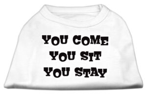 You Come, You Sit, You Stay Screen Print Shirts White Xs