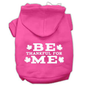 Be Thankful For Me Screen Print Pet Hoodies Bright Pink Size Xxl (18)