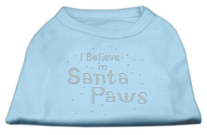I Believe In Santa Paws Shirt Baby Blue S