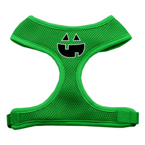 Pumpkin Face Design Soft Mesh Pet Harness Emerald Green Small