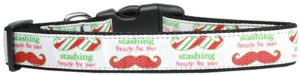 Stashing Through The Snow Nylon Dog Collar Medium