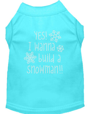 Yes! I Want To Build A Snowman Rhinestone Dog Shirt Aqua Lg (14)