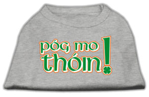 Pog Mo Thoin Screen Print Shirt Grey Xs