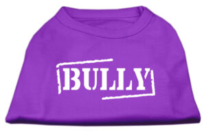 Bully Screen Printed Shirt  Purple Sm