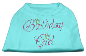 Birthday Girl Rhinestone Shirt Aqua Xxxl(20)
