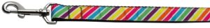 Striped Rainbow Nylon Ribbon Collars 1 Wide 4ft Leash
