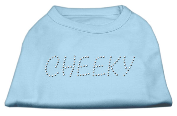 Cheeky Rhinestone Shirt Baby Blue Xxxl(20)