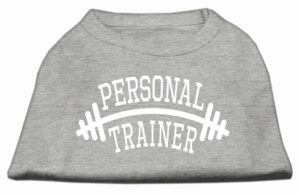 Personal Trainer Screen Print Shirt Grey Xl