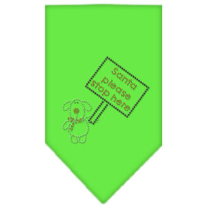 Santa Please Stop Here Rhinestone Bandana Lime Green Small