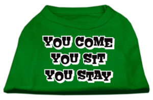 You Come, You Sit, You Stay Screen Print Shirts Emerald Green Med (12)