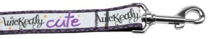 Wickedly Cute Nylon Dog Leash 5/8 Inch Wide 4ft Long