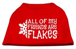 All My Friends Are Flakes Screen Print Shirt Red L