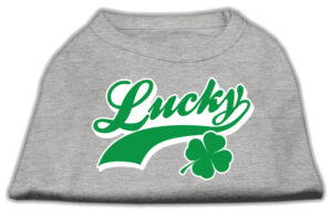 Lucky Swoosh Screen Print Shirt Grey Xl
