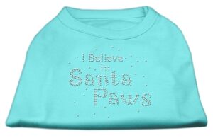 I Believe In Santa Paws Shirt Aqua Xxl