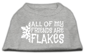 All My Friends Are Flakes Screen Print Shirt Grey L
