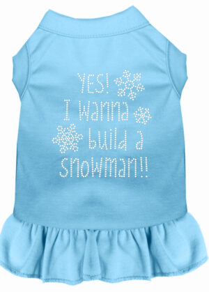 Yes! I Want To Build A Snowman Rhinestone Dog Dress Baby Blue Xs