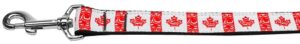 Canadian Flag In Swirls Nylon Dog Leash 5/8 Inch Wide 6ft Long
