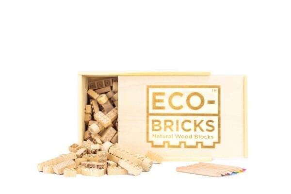 Eco-bricks Classic 250pcs - updated - Image 4
