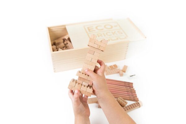 Eco-bricks Classic 250pcs - updated - Image 11